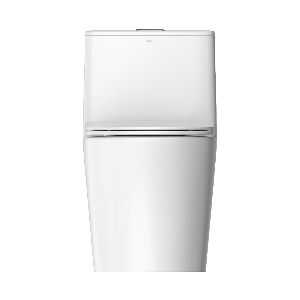 LC0905DT D5超旋風節水坐便器