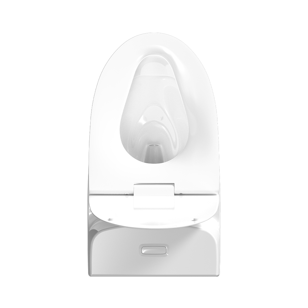 LC0905DT D5超旋風節水坐便器